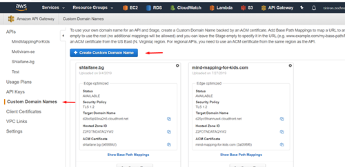 set-custom-domain-in-api-gateway